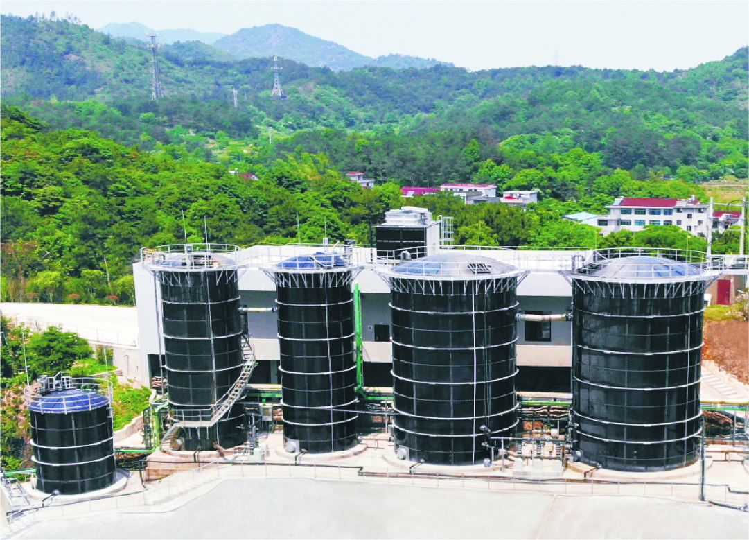 生物質(zhì)天然氣工程案例